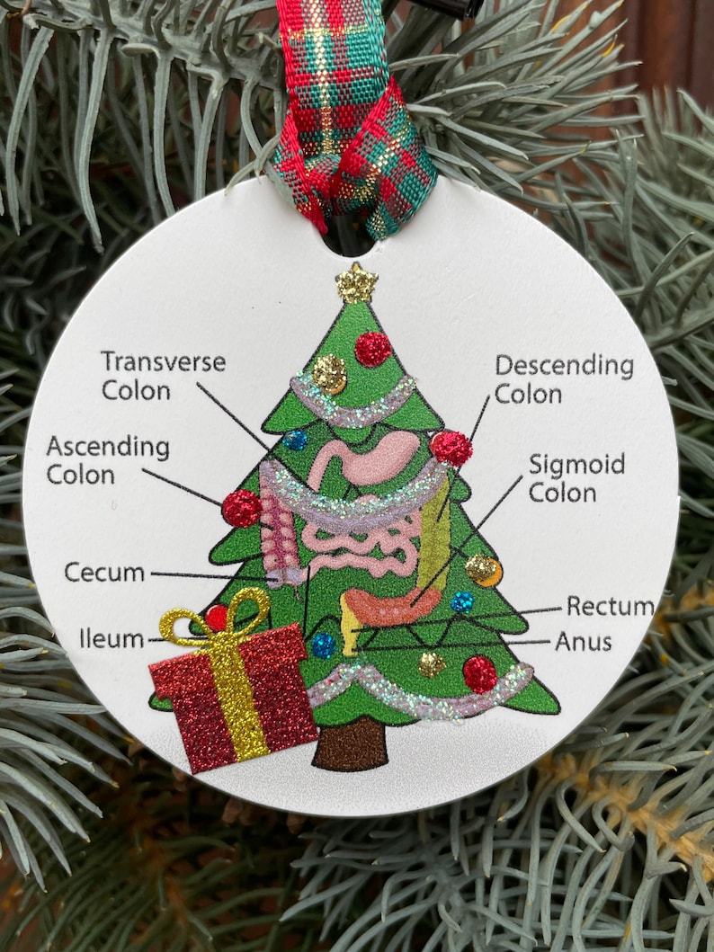 Anatomical Colon Christmas Tree Ornament, Gastroenterologist Gift - Etsy