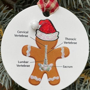 SPINE ornament- Gift for CHIROPRACTOR/Ortho ornament-Back pain/ Nurse gift/Orthopedic/spinal surgery/Get well/Physical therapy