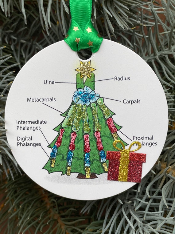 Hand Surgeon Ornament: Medical Christmas Tree Gift