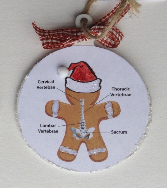 Chiropractor Orthopedic Holiday Medical Etsy Chiropractor, Orthopedic Holiday Medical Ornaments-chiropractor - Chiropractor Orthopedic Holiday Medical Etsy