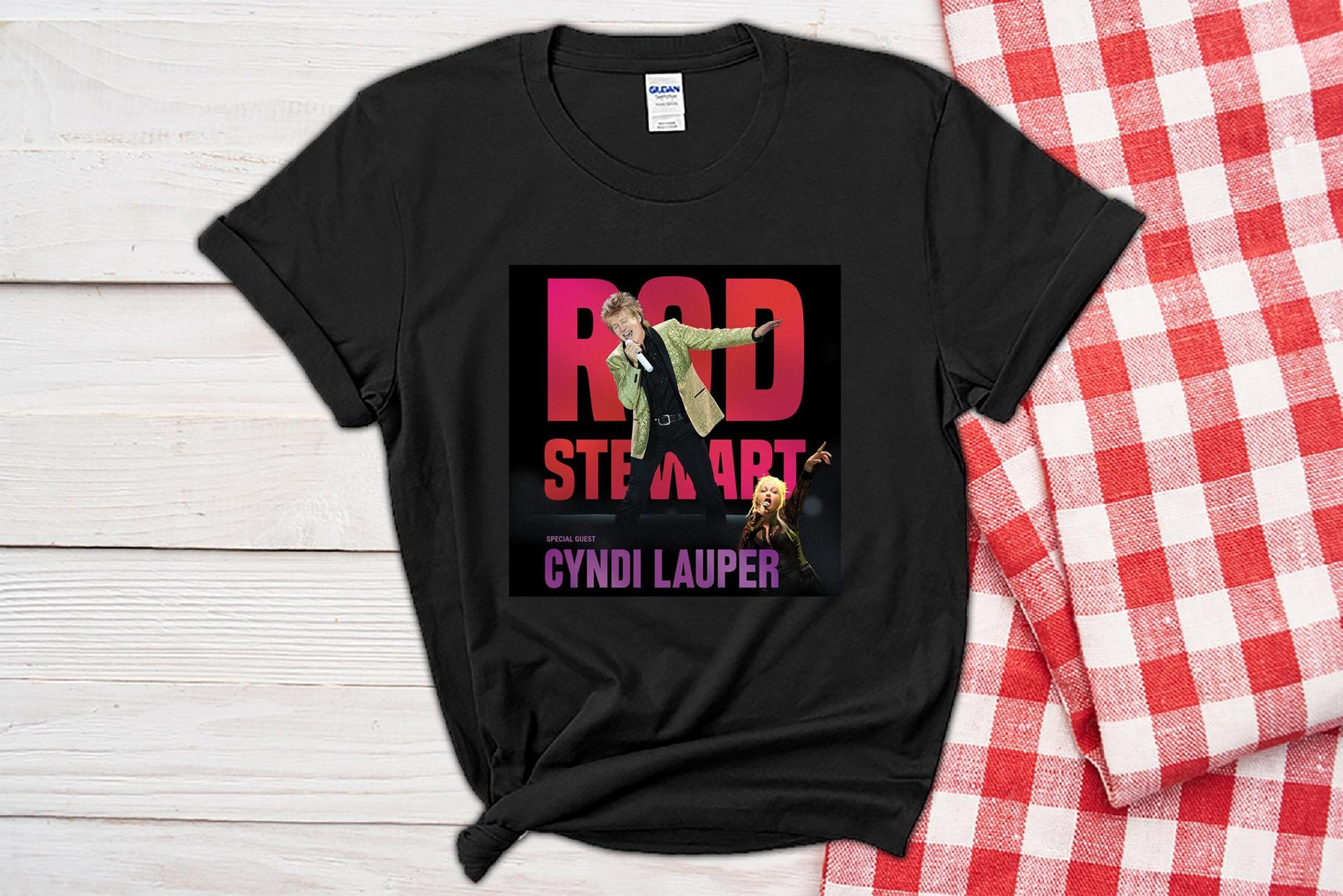 Discover Stewart Rod Cyndi Tour 2022 T-Shirt