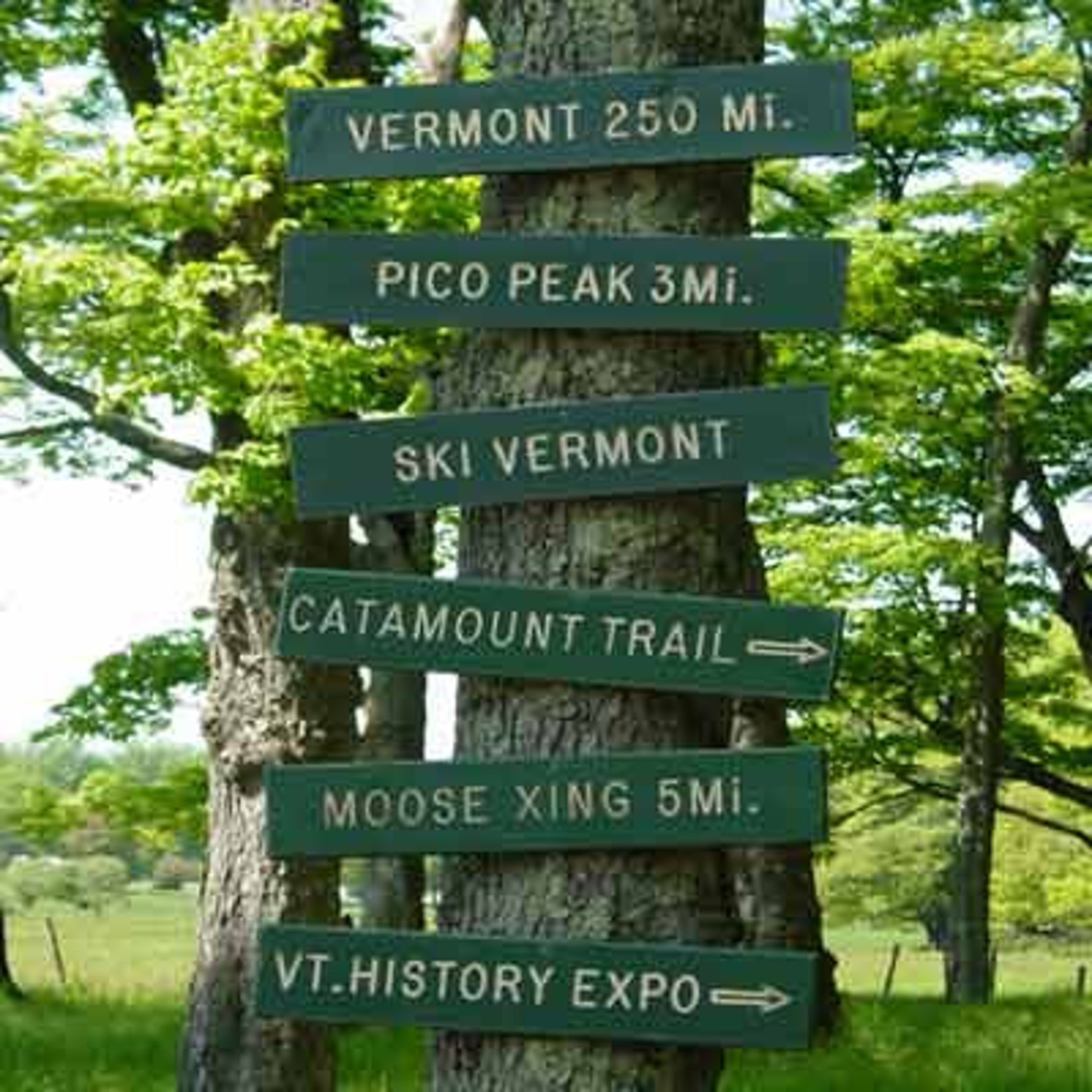 Custom Wood Trail Signs Rustic Carved Wood Sign Wood Ski - Etsy