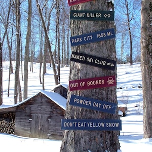 Custom Wood Trail Signs, Rustic Carved Wood Sign, Wood Ski Trail Sign, Ski Trail Sign