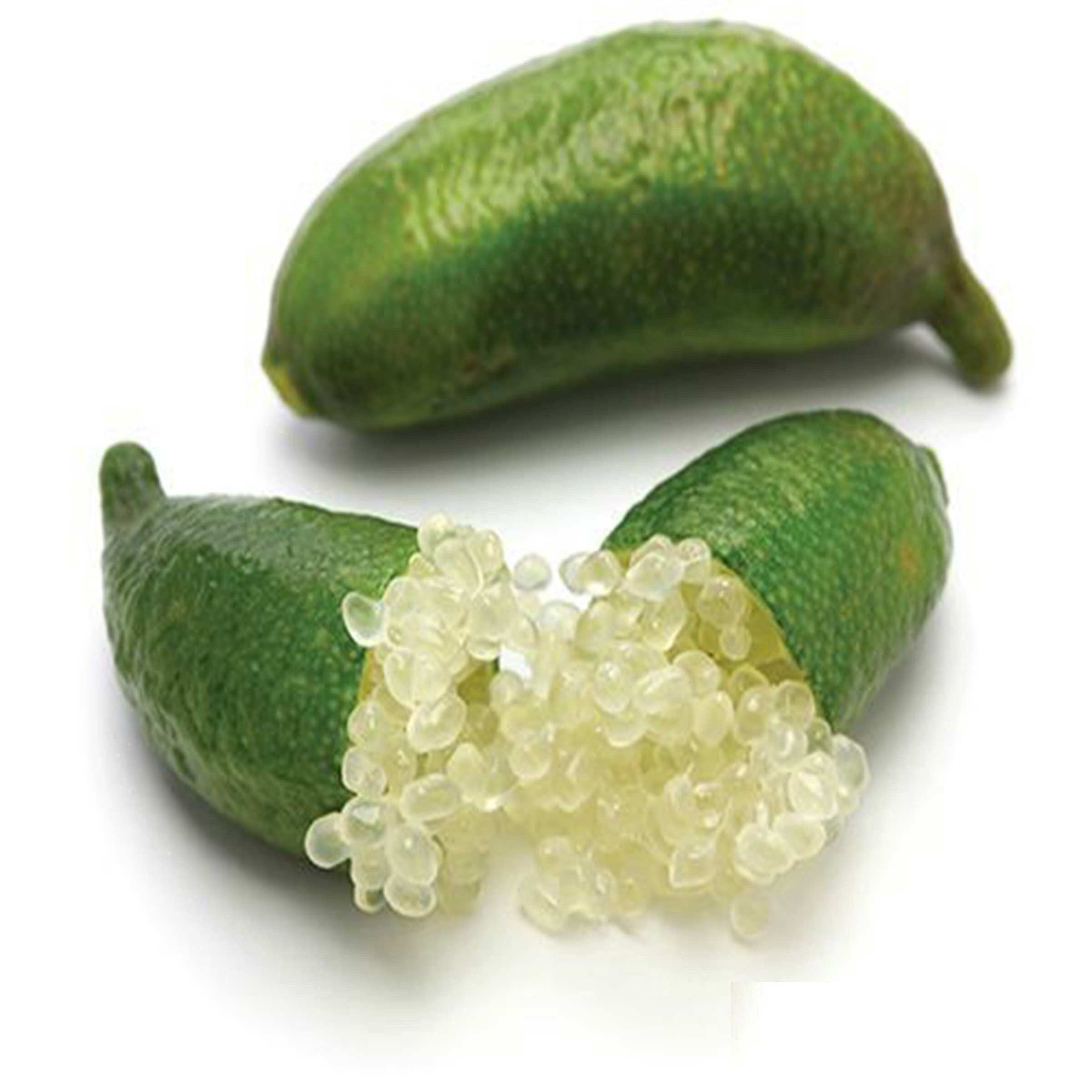 Plant De citronnier Finger