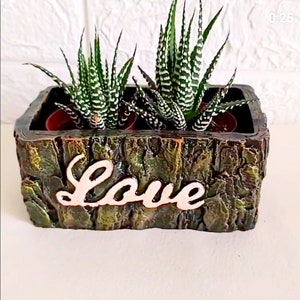 Moule Silicone Pot Texture bois Love Fleur Cactus Succulent pour Plâtre WEPAM Cire Savon Résine Argile Polyester Béton K125 1G700 image 6