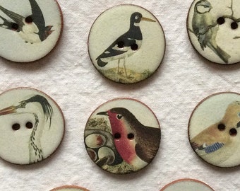Set Of 20 Colourful Parrot Buttons Handmade Cardigans Arts And Crafts Brand New