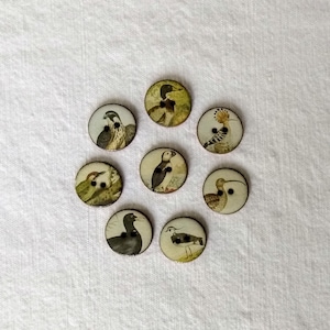 May include: Eight circular buttons, each displaying a different bird illustration. The birds are shown in various colors and poses, set against a white backdrop. Each button has two black sewing holes.