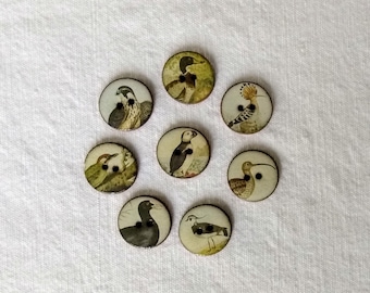 Set of 8 small 18mm vintage look handmade, washable, ceramic, Heritge Bird Buttons, Buttons for Collectors, sewing buttons. Handmade in U.K.