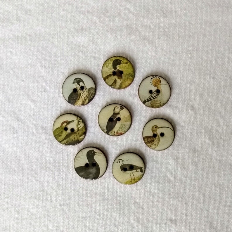Set of 8 small 18mm vintage look handmade, washable, ceramic, Heritge Bird Buttons, Buttons for Collectors, sewing buttons. Handmade in U.K. image 1