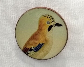 Handmade, ceramic Jay Brooch, 39mm diameter, Nature Brooch.