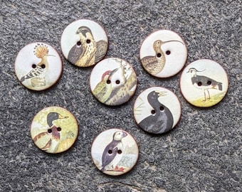 NEW size set of 8 medium  22mm (7/8 of an inch) vintage look, washable, lightweight, ceramic Bird Buttons, Heritage. Handmade in UK. Set 2.