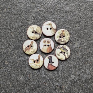 May include: A set of seven round, cream-coloured buttons, each featuring a distinct, detailed illustration of a different bird species. Every button has two central holes for attachment and displays a unique avian subject in natural tones.