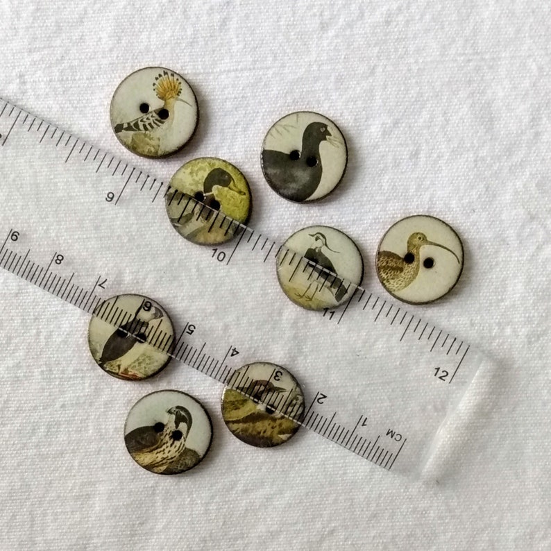 Set of 8 small 18mm vintage look handmade, washable, ceramic, Heritge Bird Buttons, Buttons for Collectors, sewing buttons. Handmade in U.K. image 5