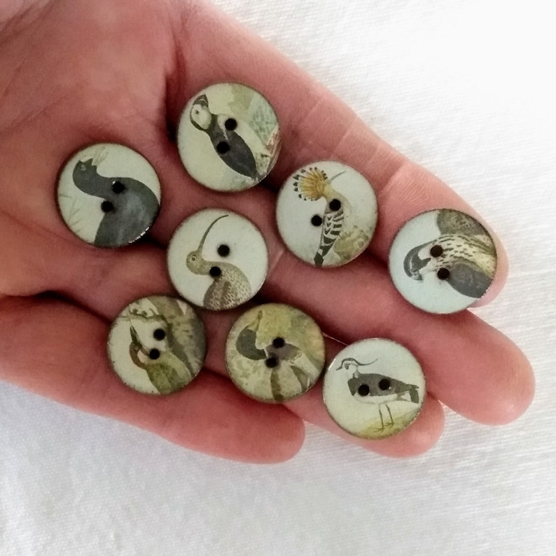 Set of 8 small 18mm vintage look handmade, washable, ceramic, Heritge Bird Buttons, Buttons for Collectors, sewing buttons. Handmade in U.K. image 4