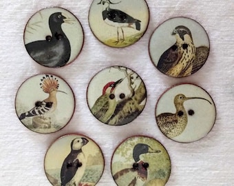 Set of 8 large 27mm (1 inch) vintage look, washable, handmade, ceramic, Heritge Bird Buttons  set 2. Buttons for sewing or collecting.