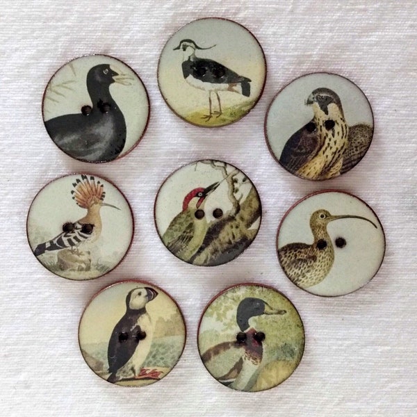 Handmade Ceramic Bird Buttons, set of 8. 27mm, (1”). Lightweight, washable. Vintage Style. Sewing.