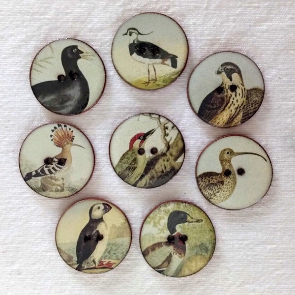 Lot de 8 grands 27 mm (1 pouce) look vintage, lavables, faits main, céramique, ensemble de 2 boutons Heritge Bird. Boutons à coudre ou à collectionner.