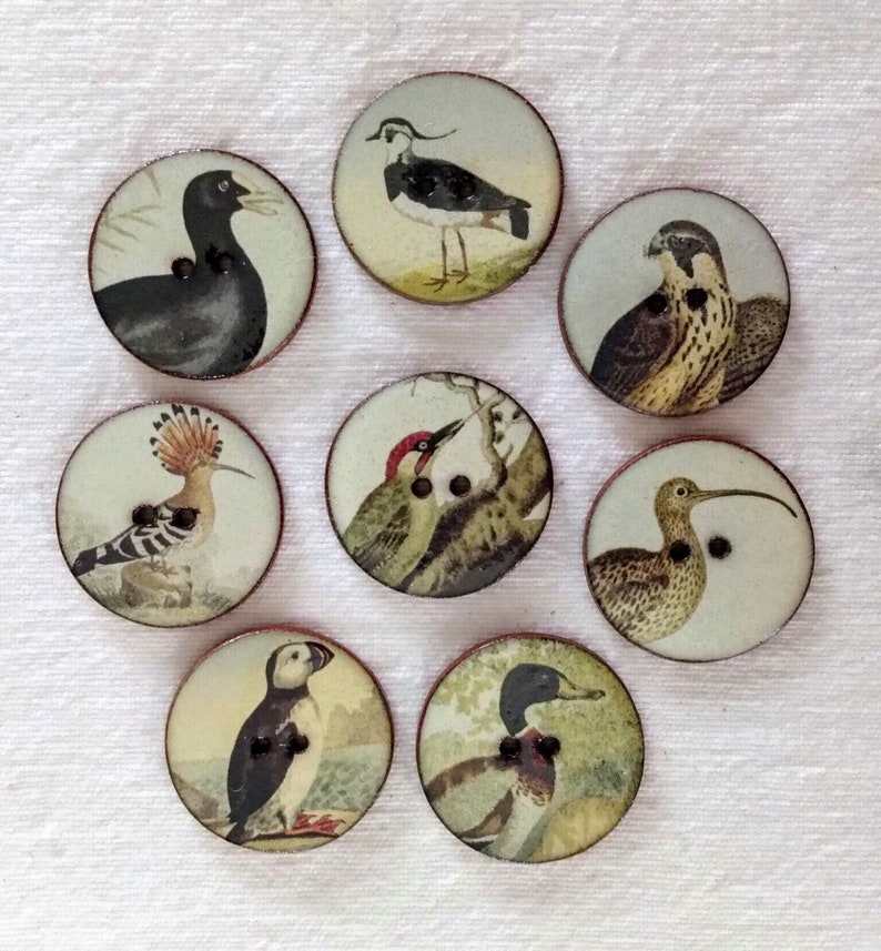 Set of 8 large 27mm 1 inch vintage look, washable, handmade, ceramic, Heritge Bird Buttons set 2. Buttons for sewing or collecting. image 1