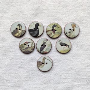 May include: A collection of eight round buttons, each featuring a different bird illustration. The buttons have a light background with a thin, reddish-brown border. The birds are depicted in various colors and poses, adding a vintage aesthetic.