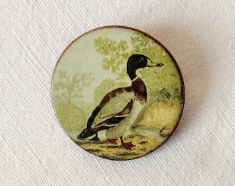 Handmade, ceramic Mallard duck brooch 39mm diameter, Nature Brooch. Bird brooch
