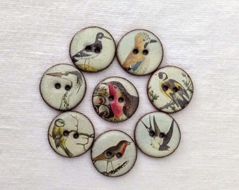 Conjunto de 8 pequeños botones de pájaro de cerámica de 18 mm (aproximadamente 3/4 de pulgada), hechos a mano en el Reino Unido, lavables, livianos y de cerámica. Para coser, coleccionar, etc.