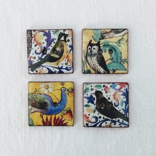 Set of 4 Illuminated Manuscript heritage bird design 24mm (just under 1 inch) square, washable, lightweight, ceramic buttons.