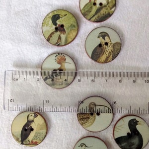 Set of 8 large 27mm 1 inch vintage look, washable, handmade, ceramic, Heritge Bird Buttons set 2. Buttons for sewing or collecting. image 2