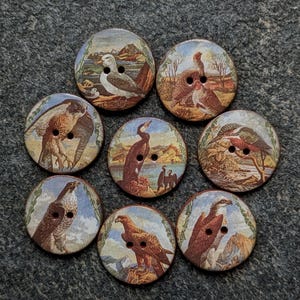 May include: A set of seven round buttons, each featuring a distinct illustration of a bird in a natural landscape. The buttons are circular with two holes in the centre, displaying various avian species in shades of brown, tan, and blue.