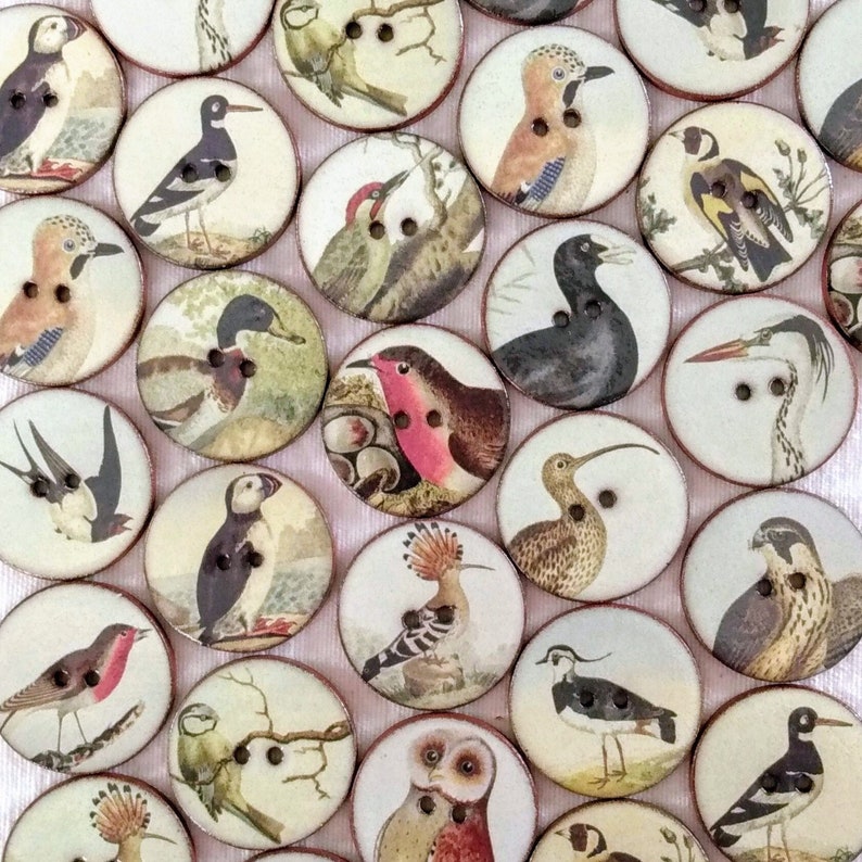 Set of 8 large 27mm 1 inch vintage look, washable, handmade, ceramic, Heritge Bird Buttons set 2. Buttons for sewing or collecting. image 4