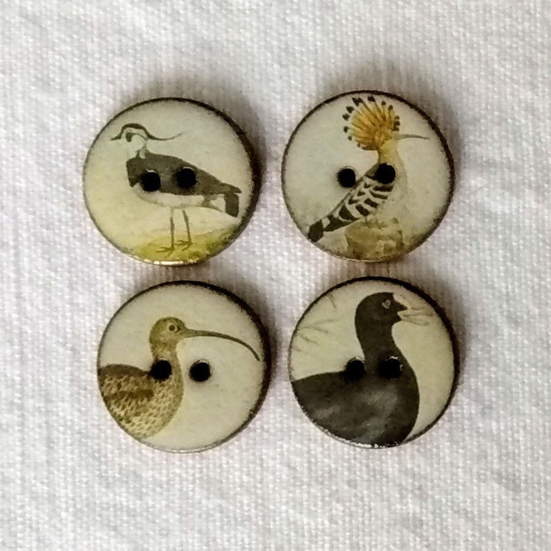 Set of 8 small 18mm vintage look handmade, washable, ceramic, Heritge Bird Buttons, Buttons for Collectors, sewing buttons. Handmade in U.K. image 3