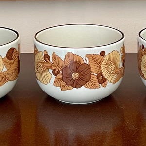 Set of 5 Vintage Rosenthal Terra Prato Studio Line Bowls – 1970s German Design