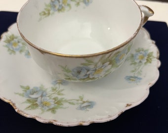 Antique, Elite Works, Limoges, France. Teacup and saucer. 1900ths. Good condition.