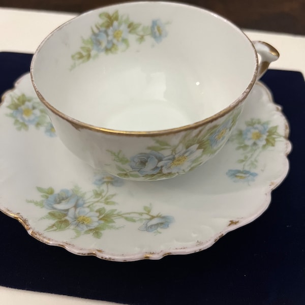 Antique, Elite Works, Limoges, France. Teacup and saucer. 1900ths. Good condition.