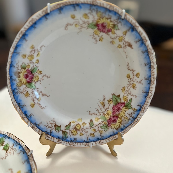 Antique plate. Vesta G C G& CO. Bone China. England. Beautiful yellow and purple flowers, blue and golden crow. 7" diameter. wall mount.