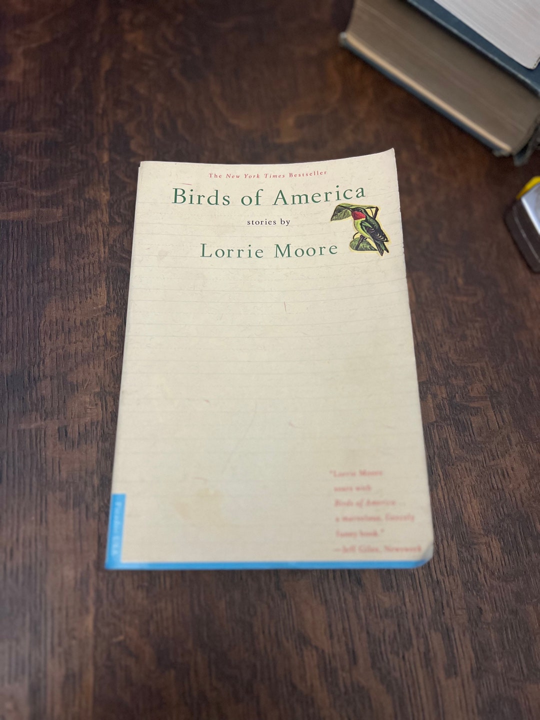 Birds of America. Lorrie Moore. 1999 Print. Good Condition. Etsy