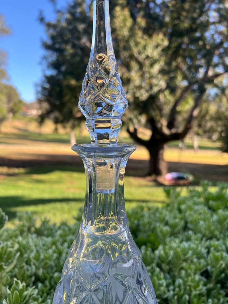 May include: A clear glass decanter with a diamond pattern and a faceted stopper. The stopper is elongated and tapers to a point. The decanter is set against a blurred background of green foliage and a tree.