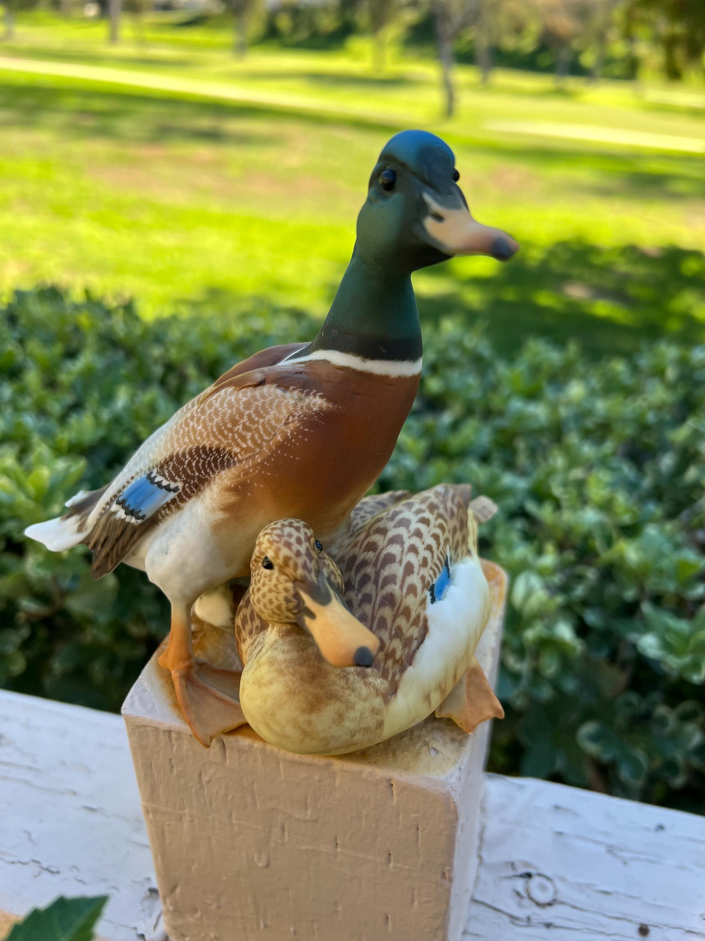 Vintage Kaiser W Germany Mallard Duck Pair, Bisque Porcelain