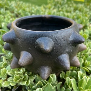 Pochote Sacred Tree. Clay Planter Atzompa Oaxaca 4.5x4.35"