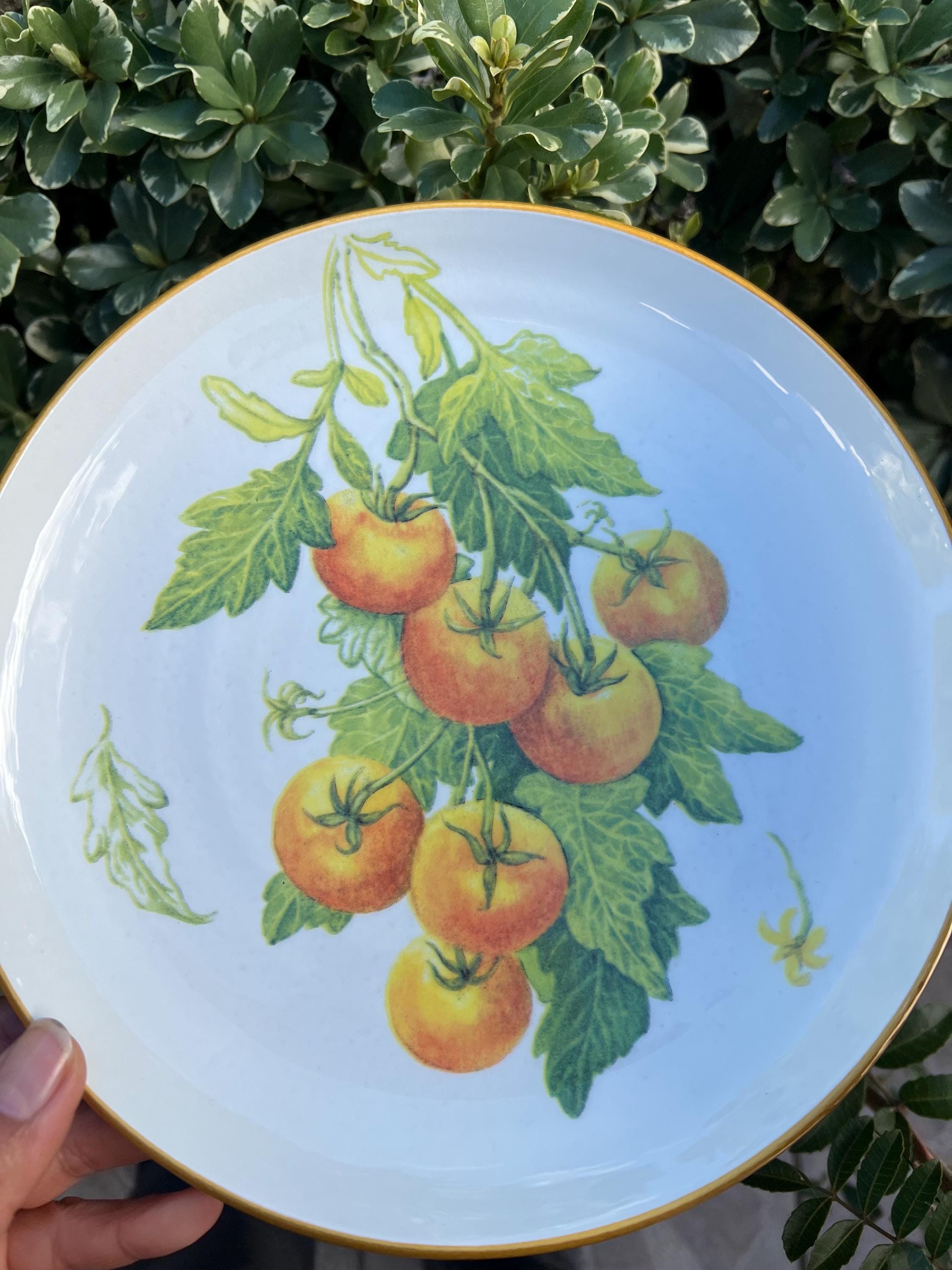 Set of Williams Sonoma 