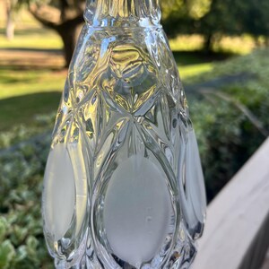May include: A clear glass bottle with a diamond pattern and frosted oval accents. The bottle has a long neck and a decorative design, suitable for displaying liquids. The background is blurred, showing greenery.
