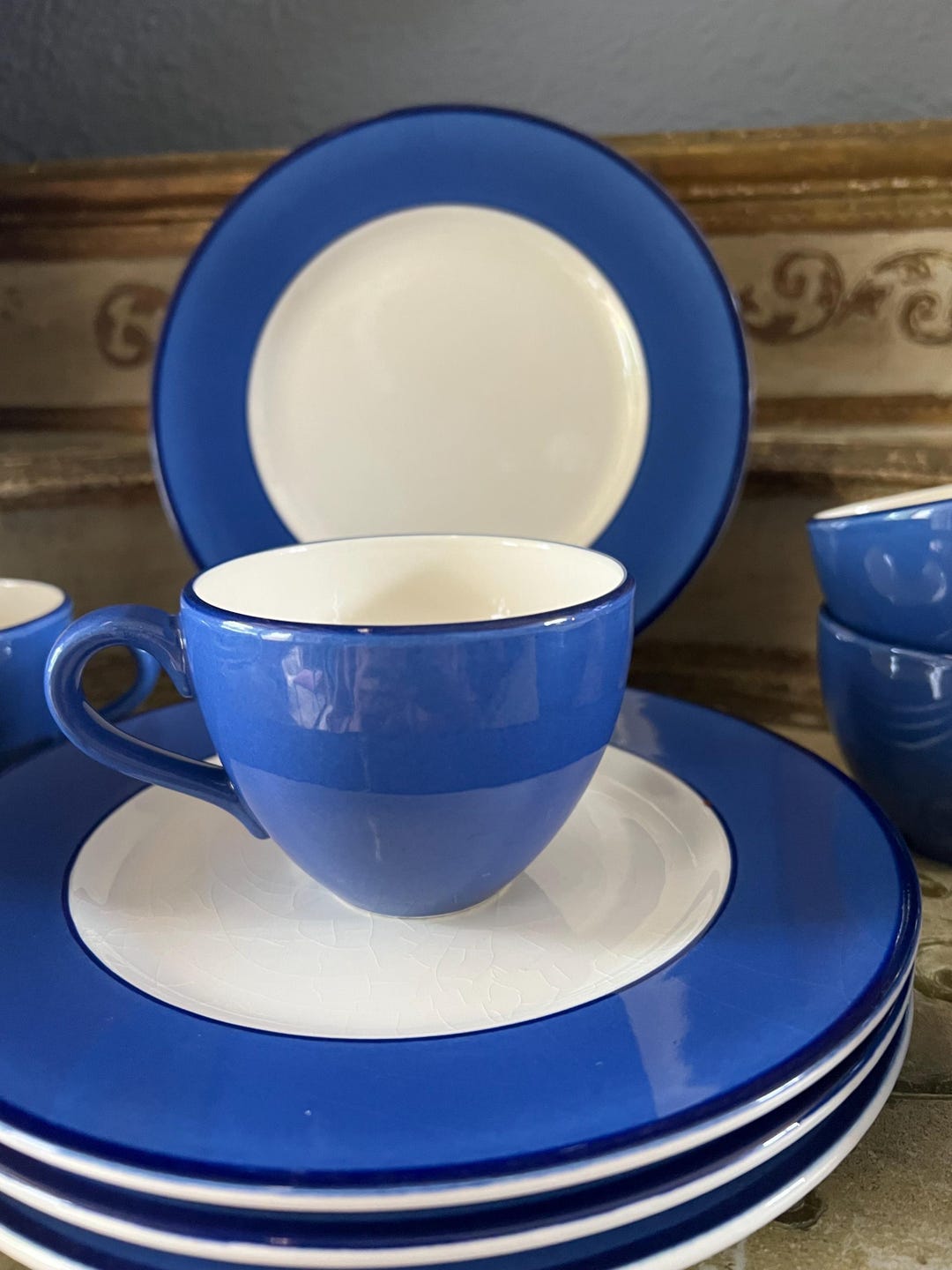 Pagnossin Treviso Italy Spa Blueberry Ironstone Plates and Mugs