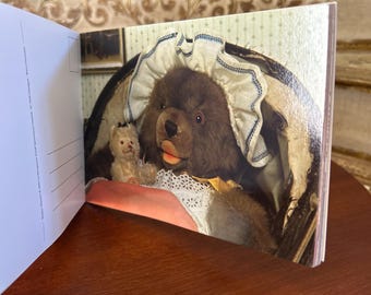 Vintage Steiff Teddy Bear Postcards – 1980s West Germany Book - Etsy