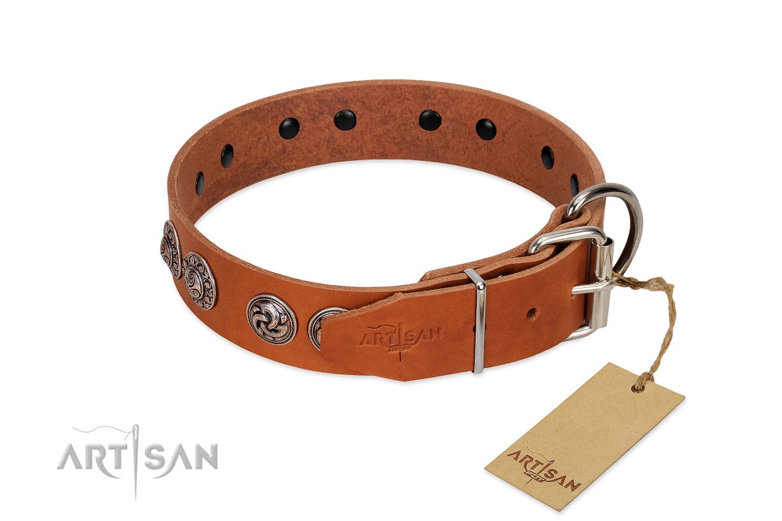 Stunning Tan Leather Dog Collar woofy Majesty Etsy