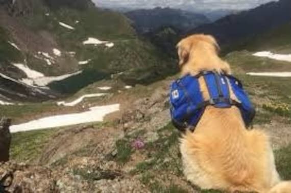 Mountainsmith dog pack Clearance