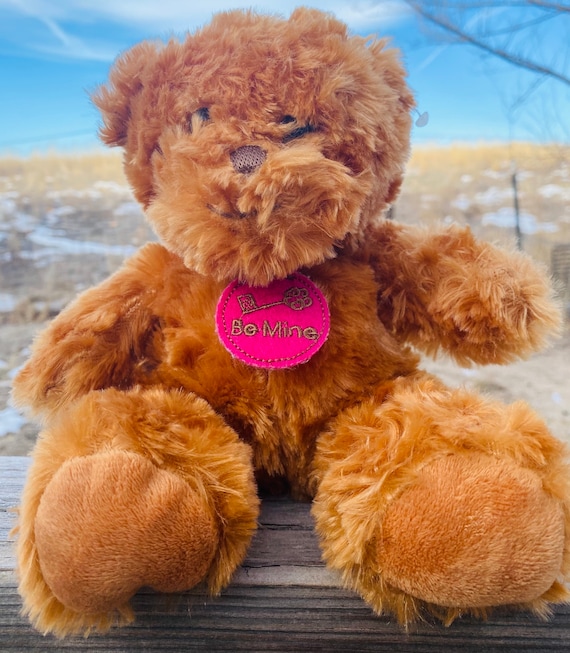 Romantic Valentine Gift Plush Bear and Godiva Chocolates