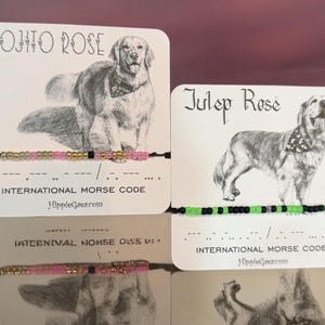 Your Pet's Name in Morse Code Seed Bead Bracelet - Miyuki & Toho Beads, Adjustable Knot
