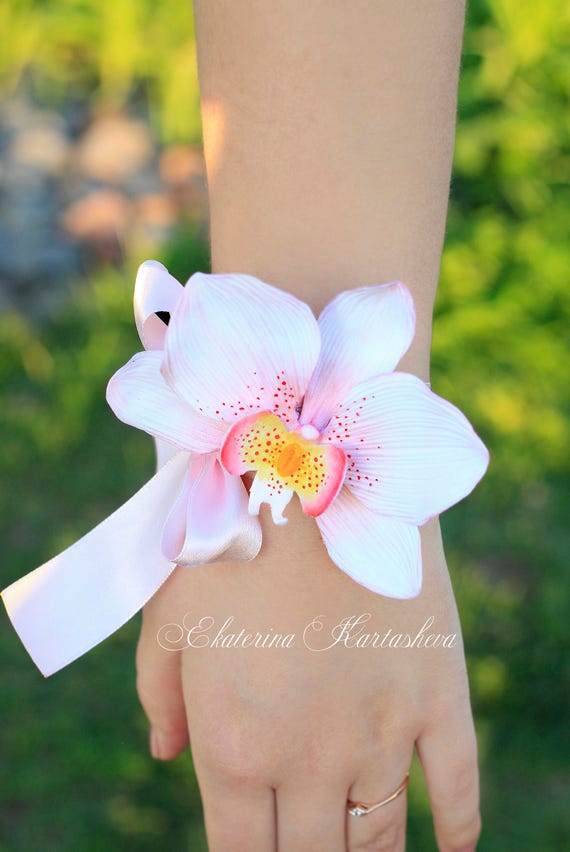 Orchidee 17 Hochzeitstag Bilder