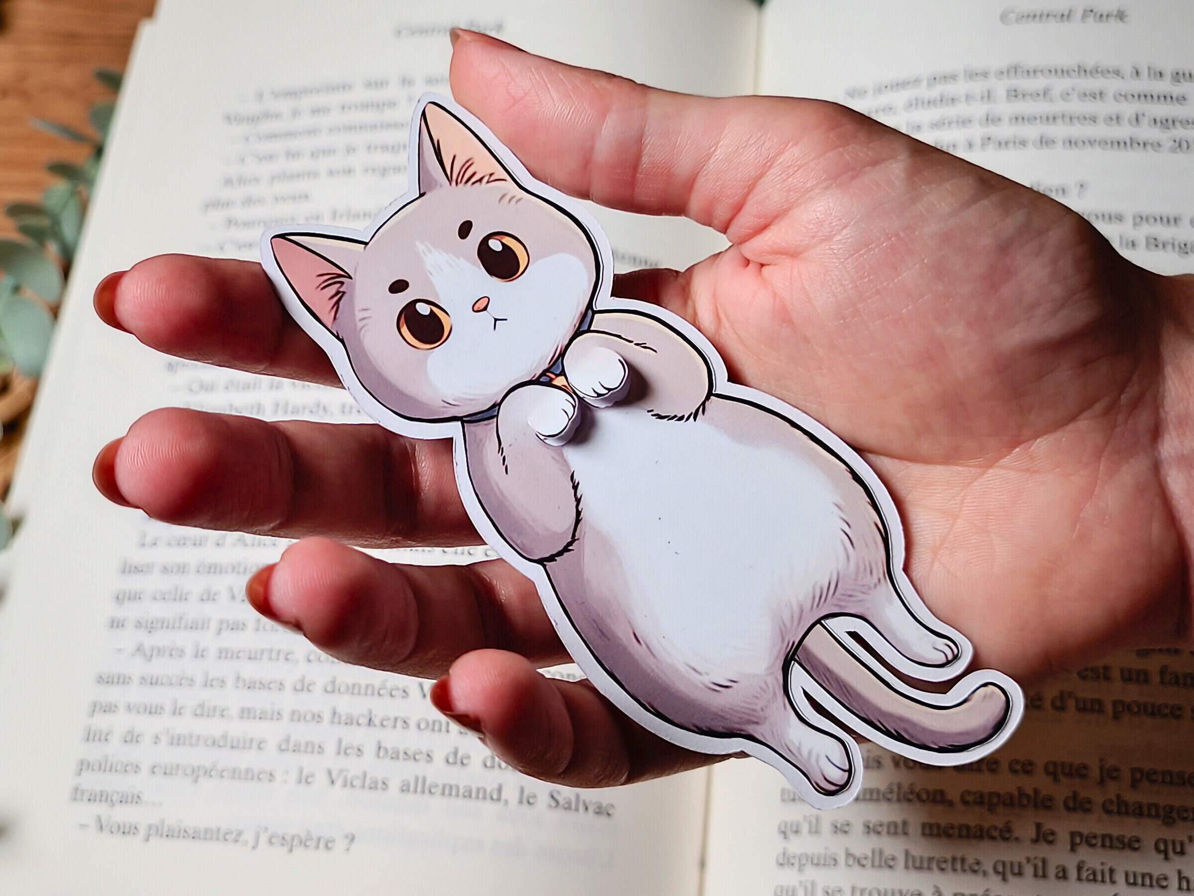 Carte Humour Suricate Carte Anniversaire Humour Suricates - Edition Seidel Qualité Supérieure 11,5x17 Cm Enveloppe Anniversaire