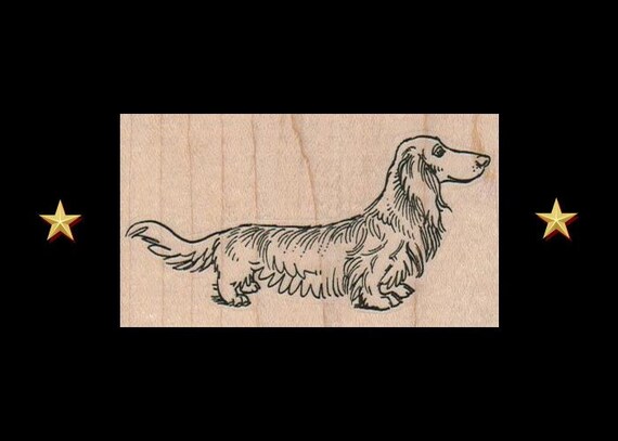 Long Haired Dachshund Rubber Stamp Dog Rubber Stamp Etsy