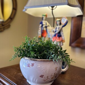 May include: A white ceramic planter with a floral design and gold trim, filled with a green leafy plant. The planter is sitting on a wooden surface.